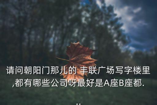 請(qǐng)問(wèn)朝陽(yáng)門那兒的 豐聯(lián)廣場(chǎng)寫(xiě)字樓里,都有哪些公司呀最好是A座B座都...