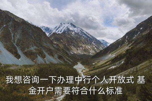 我想咨詢一下辦理中行個人開放式 基金開戶需要符合什么標準