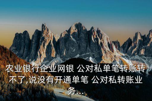 農(nóng)業(yè)銀行企業(yè)網(wǎng)銀 公對私單筆轉(zhuǎn)賬轉(zhuǎn)不了,說沒有開通單筆 公對私轉(zhuǎn)賬業(yè)務...