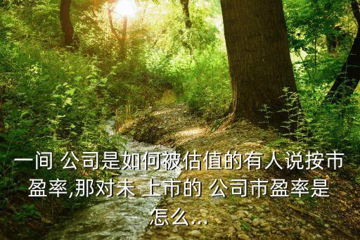 一間 公司是如何被估值的有人說按市盈率,那對(duì)未 上市的 公司市盈率是怎么...
