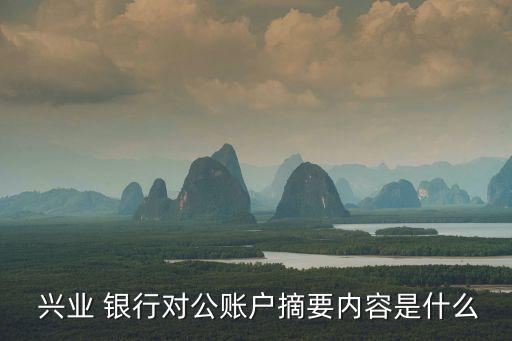  興業(yè) 銀行對公賬戶摘要內容是什么