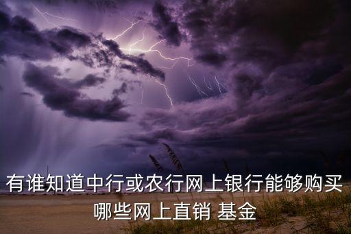 有誰(shuí)知道中行或農(nóng)行網(wǎng)上銀行能夠購(gòu)買哪些網(wǎng)上直銷 基金