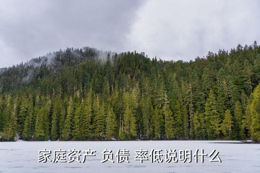 家庭資產(chǎn) 負(fù)債 率低說(shuō)明什么