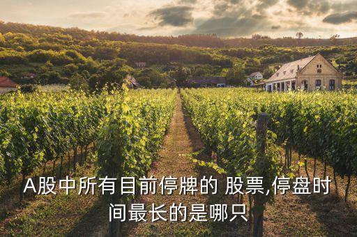 A股中所有目前停牌的 股票,停盤時(shí)間最長(zhǎng)的是哪只