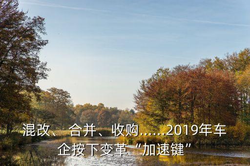 中國(guó)四大汽車(chē)公司應(yīng)該合并,中國(guó)汽車(chē)公司的四大四小