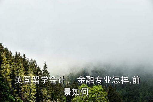  英國留學(xué)會計(jì)、 金融專業(yè)怎樣,前景如何