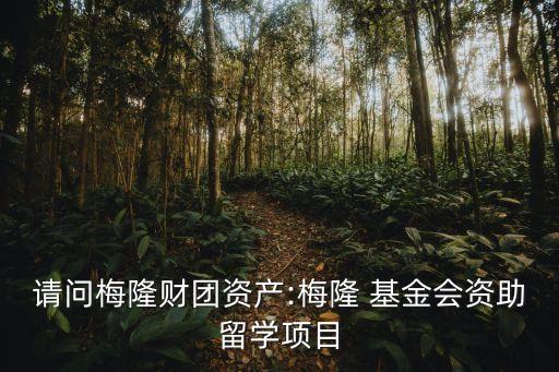 請問梅隆財團(tuán)資產(chǎn):梅隆 基金會資助留學(xué)項(xiàng)目