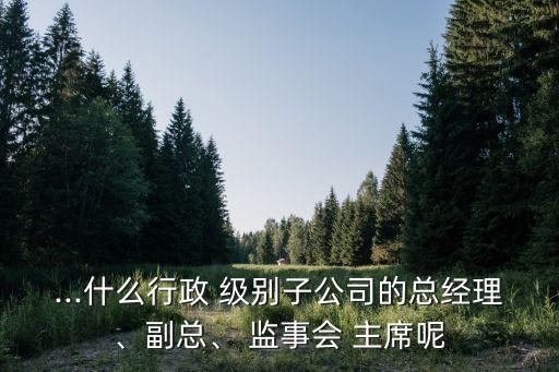 ...什么行政 級別子公司的總經(jīng)理、副總、 監(jiān)事會 主席呢