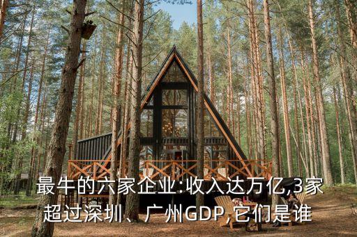  最牛的六家企業(yè):收入達(dá)萬億,3家超過深圳、廣州GDP,它們是誰