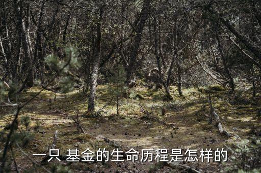 產業(yè)基金發(fā)起人協議