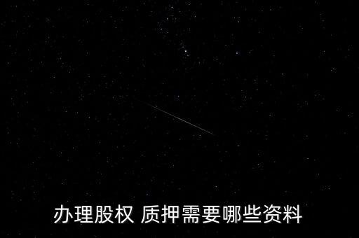 辦理股權 質(zhì)押需要哪些資料