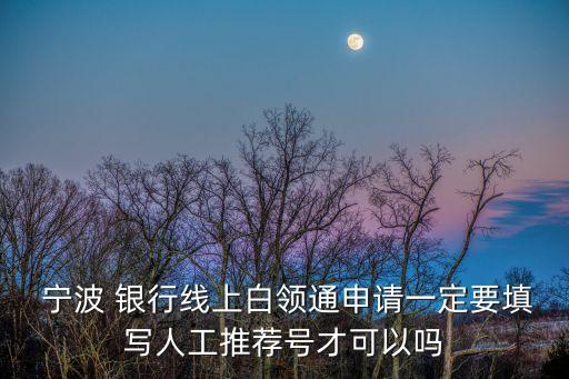  寧波 銀行線上白領(lǐng)通申請(qǐng)一定要填寫(xiě)人工推薦號(hào)才可以嗎