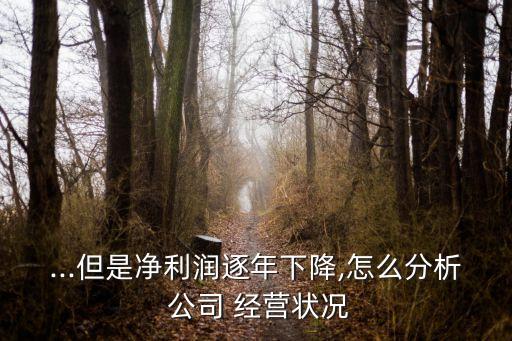...但是凈利潤(rùn)逐年下降,怎么分析 公司 經(jīng)營(yíng)狀況