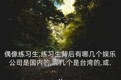 偶像練習(xí)生,練習(xí)生背后有哪幾個(gè)娛樂公司是國內(nèi)的,哪幾個(gè)是臺灣的,或...
