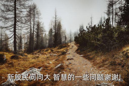 新股民問(wèn)問(wèn)大 智慧的一些問(wèn)題謝謝!