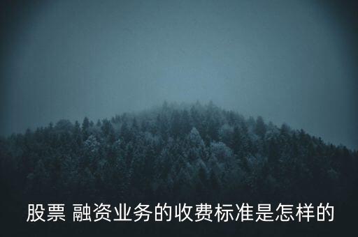  股票 融資業(yè)務的收費標準是怎樣的