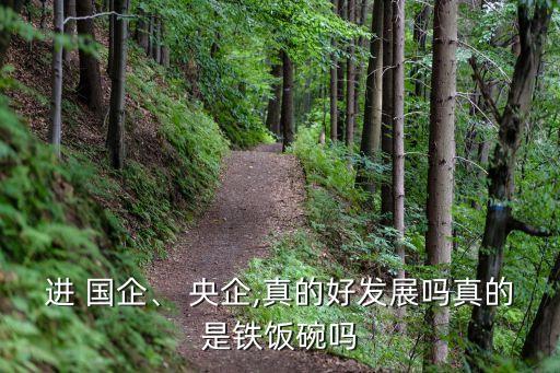 中國(guó)未來的國(guó)企央企,未來電視有限公司是國(guó)企還是央企
