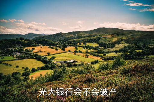 中國光大銀行負(fù)債率,光大銀行信用卡看負(fù)債率嗎