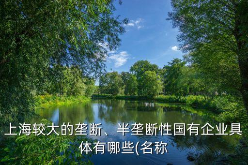 上海較大的壟斷、半壟斷性國有企業(yè)具體有哪些(名稱