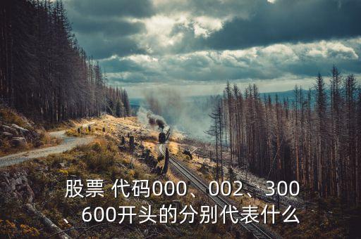  股票 代碼000、002、300、600開頭的分別代表什么