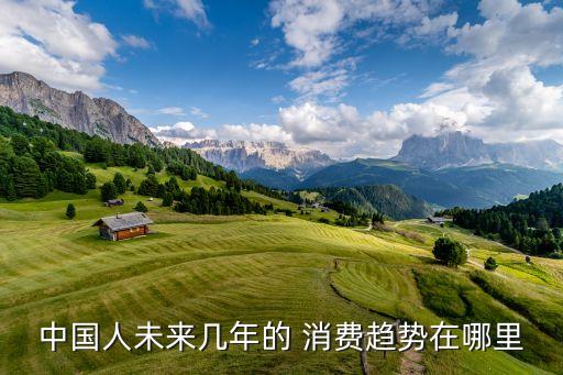 中國(guó)人未來幾年的 消費(fèi)趨勢(shì)在哪里