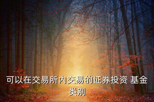 可以在交易所內(nèi)交易的證券投資 基金類別