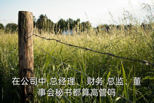 在公司中,總經(jīng)理、 財務(wù) 總監(jiān)、董事會秘書都算高管嗎