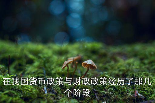 在我國貨幣政策與財政政策經歷了那幾個階段