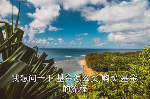 我想問(wèn)一下 基金怎么買,購(gòu)買 基金的流程