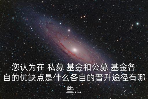 您認(rèn)為在 私募 基金和公募 基金各自的優(yōu)缺點是什么各自的晉升途徑有哪些...