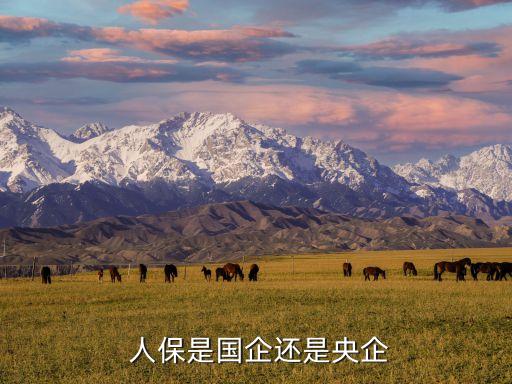 中國人保資本投資管理有限公司,成都武侯資本投資管理集團(tuán)有限公司