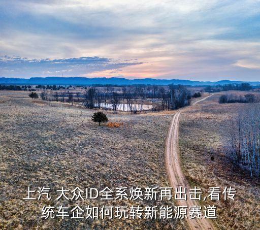 上汽 大眾ID全系煥新再出擊,看傳統(tǒng)車企如何玩轉新能源賽道