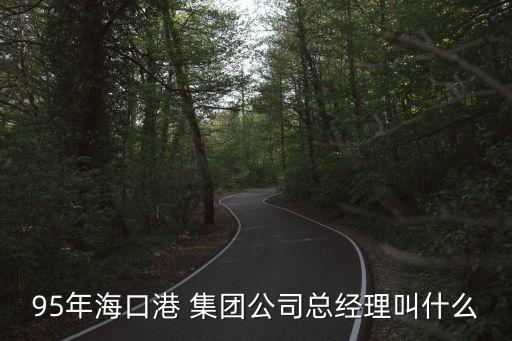 95年?？诟?集團(tuán)公司總經(jīng)理叫什么