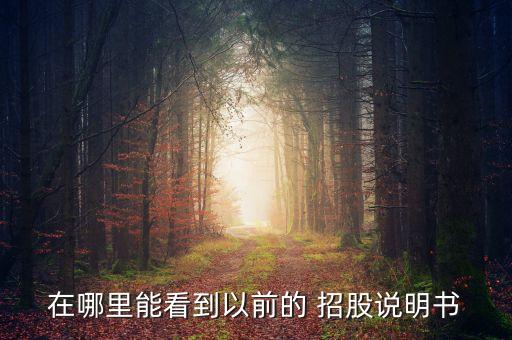 在哪里能看到以前的 招股說(shuō)明書(shū)