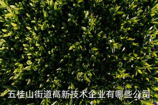 五桂山街道高新技術企業(yè)有哪些公司
