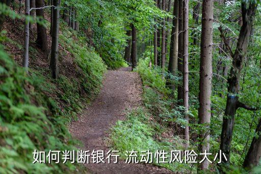 如何判斷銀行 流動性風(fēng)險大小