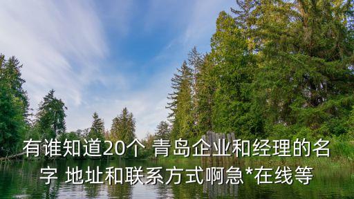有誰知道20個 青島企業(yè)和經理的名字 地址和聯(lián)系方式啊急*在線等