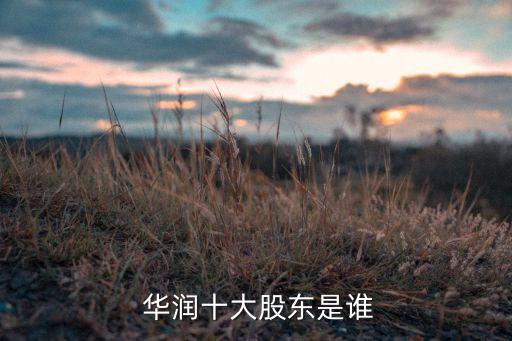  華潤(rùn)十大股東是誰(shuí)