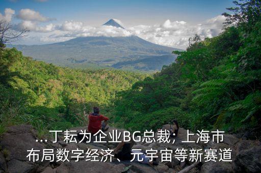 ...丁耘為企業(yè)BG總裁; 上海市布局?jǐn)?shù)字經(jīng)濟(jì)、元宇宙等新賽道