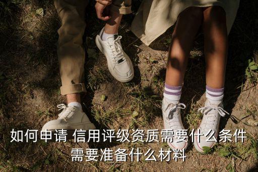 如何申請 信用評級資質(zhì)需要什么條件需要準備什么材料