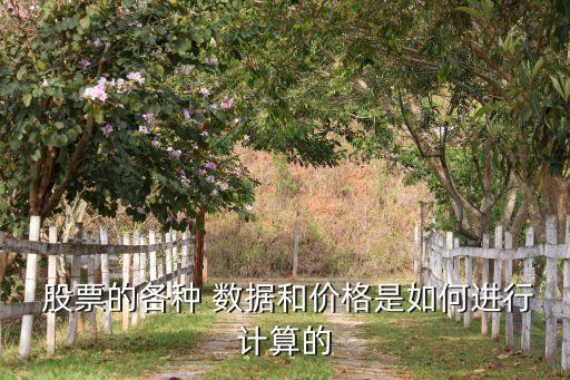  股票的各種 數(shù)據(jù)和價格是如何進行計算的