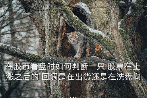 如何判斷股票回調位置,怎么判斷一只股票回調到位了