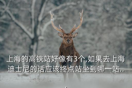 上海的高鐵站好像有3個(gè),如果去上海迪士尼的話(huà)應(yīng)該終點(diǎn)站坐到哪一站...