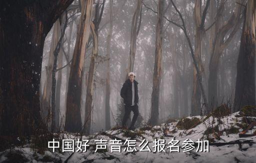 中國好聲音報(bào)名費(fèi)40萬