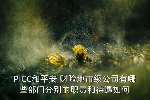 PICC和平安 財(cái)險地市級公司有哪些部門分別的職責(zé)和待遇如何