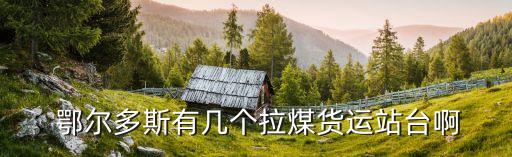  鄂爾多斯有幾個拉煤貨運(yùn)站臺啊