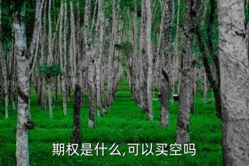 期權(quán)是什么,可以買(mǎi)空嗎