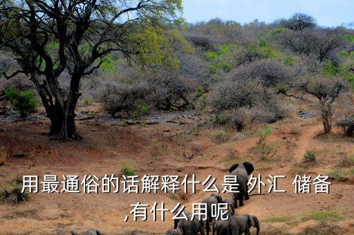 用最通俗的話解釋什么是 外匯 儲(chǔ)備,有什么用呢