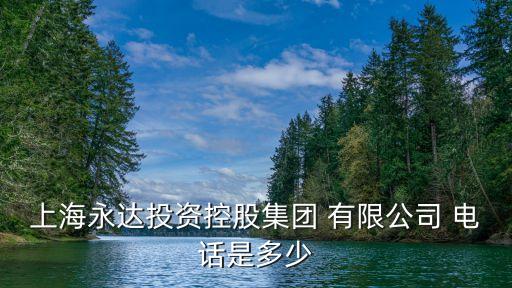 上海市東信投資有限公司固定電話