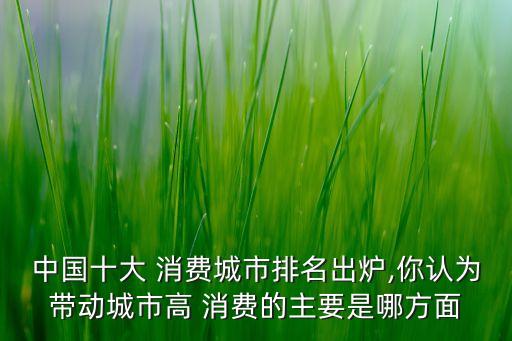 中國十大 消費城市排名出爐,你認為帶動城市高 消費的主要是哪方面